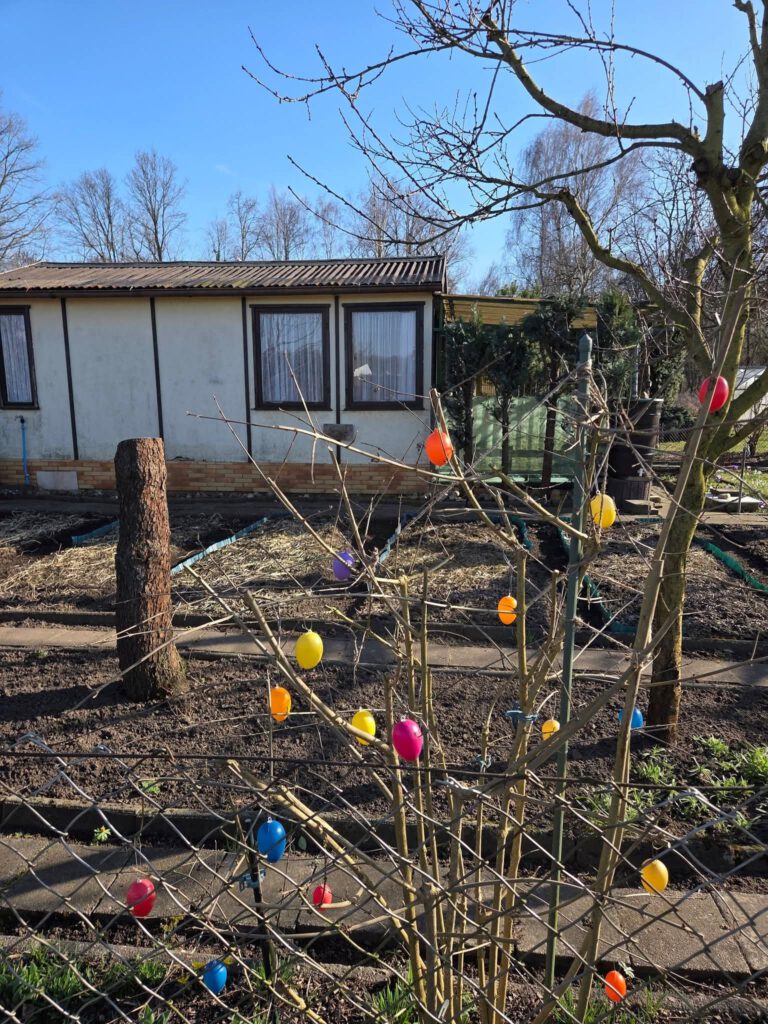 Seitenansicht der Laube Garten Nr. 29