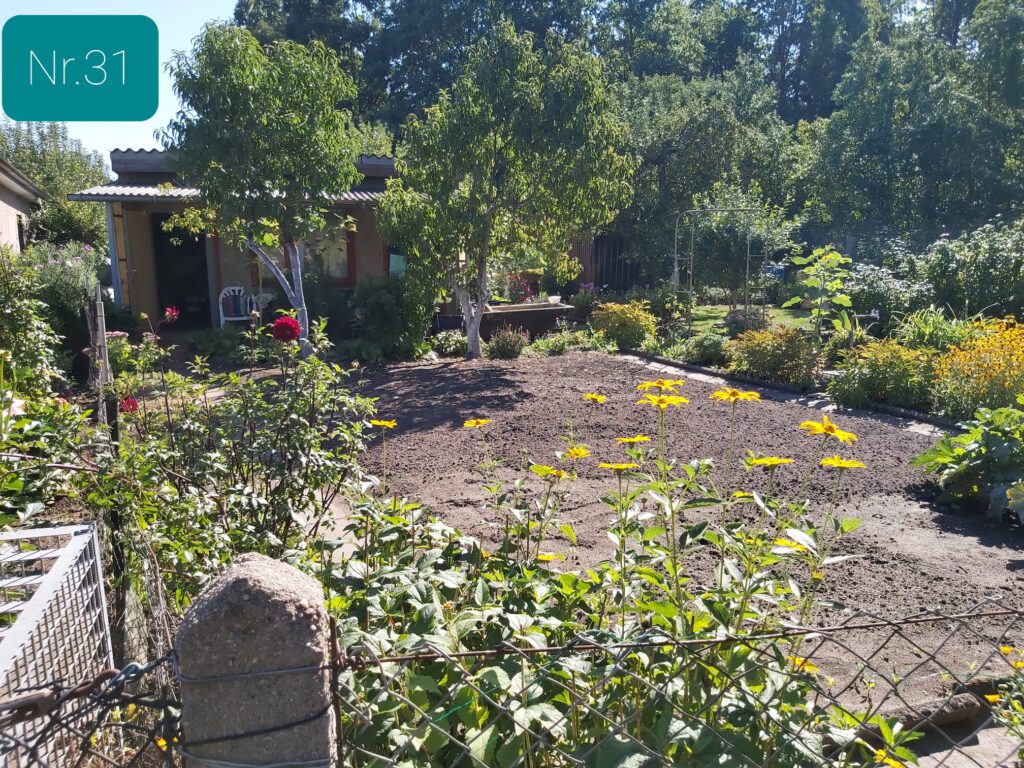 Gesamtansicht des Garten Nr. 31.
